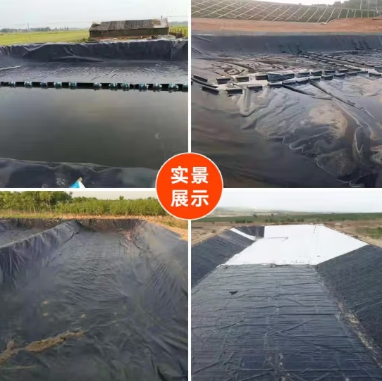 微信截图_20240928162701