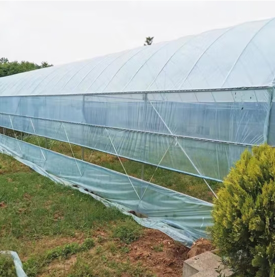 微信截图_20240928162742