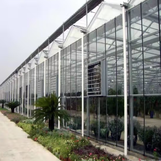 微信截图_20240928163223