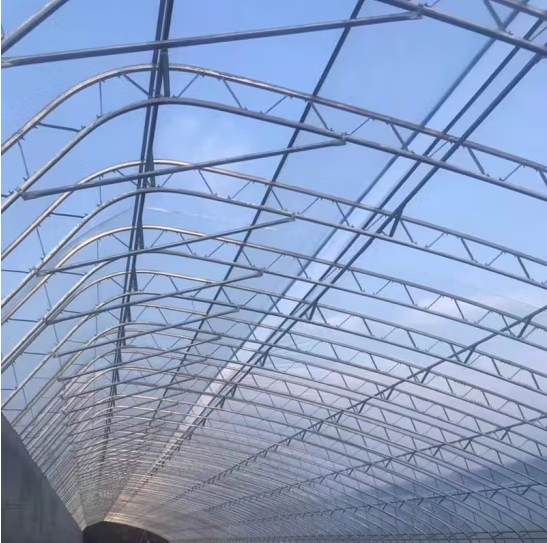 微信截图_20240928163521