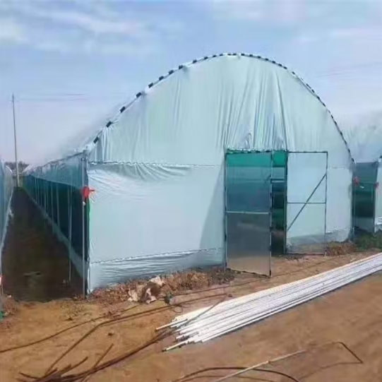 微信截图_20240928163804