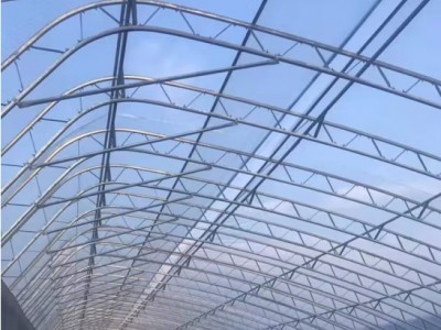 东麓屿双膜骨架温室大棚 镀锌钢管种
